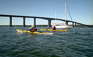 Aug1107_ricka_03.jpg