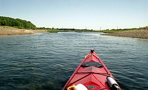 Aug1107_ricka_05.jpg