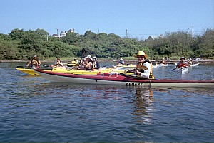 Aug2005_ricka_04.jpg