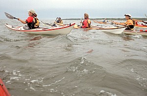 Aug2706_ricka_03a.jpg