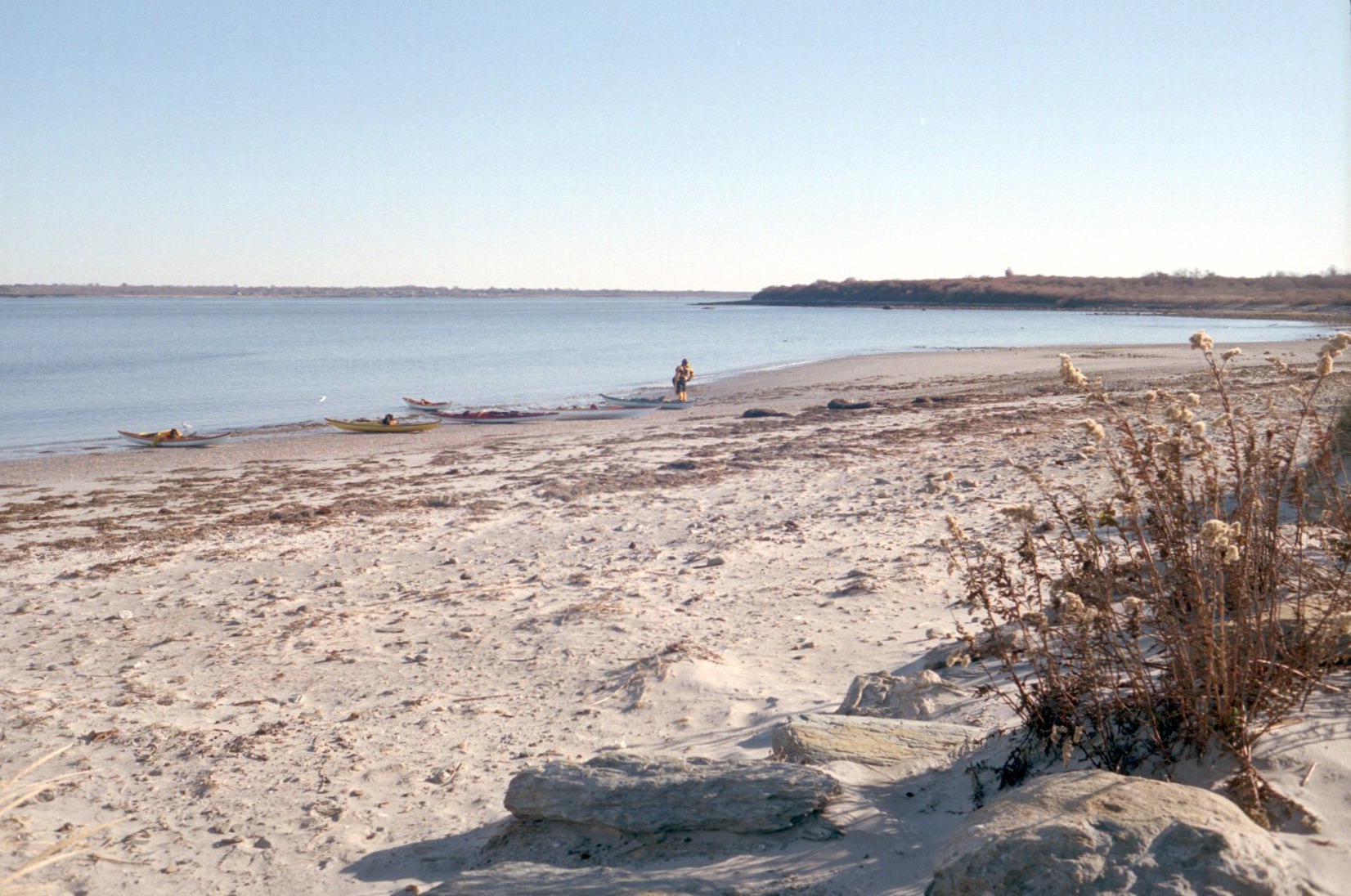 Dec0306_ricka_01.jpg