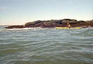 Dec0306_ricka_10.jpg