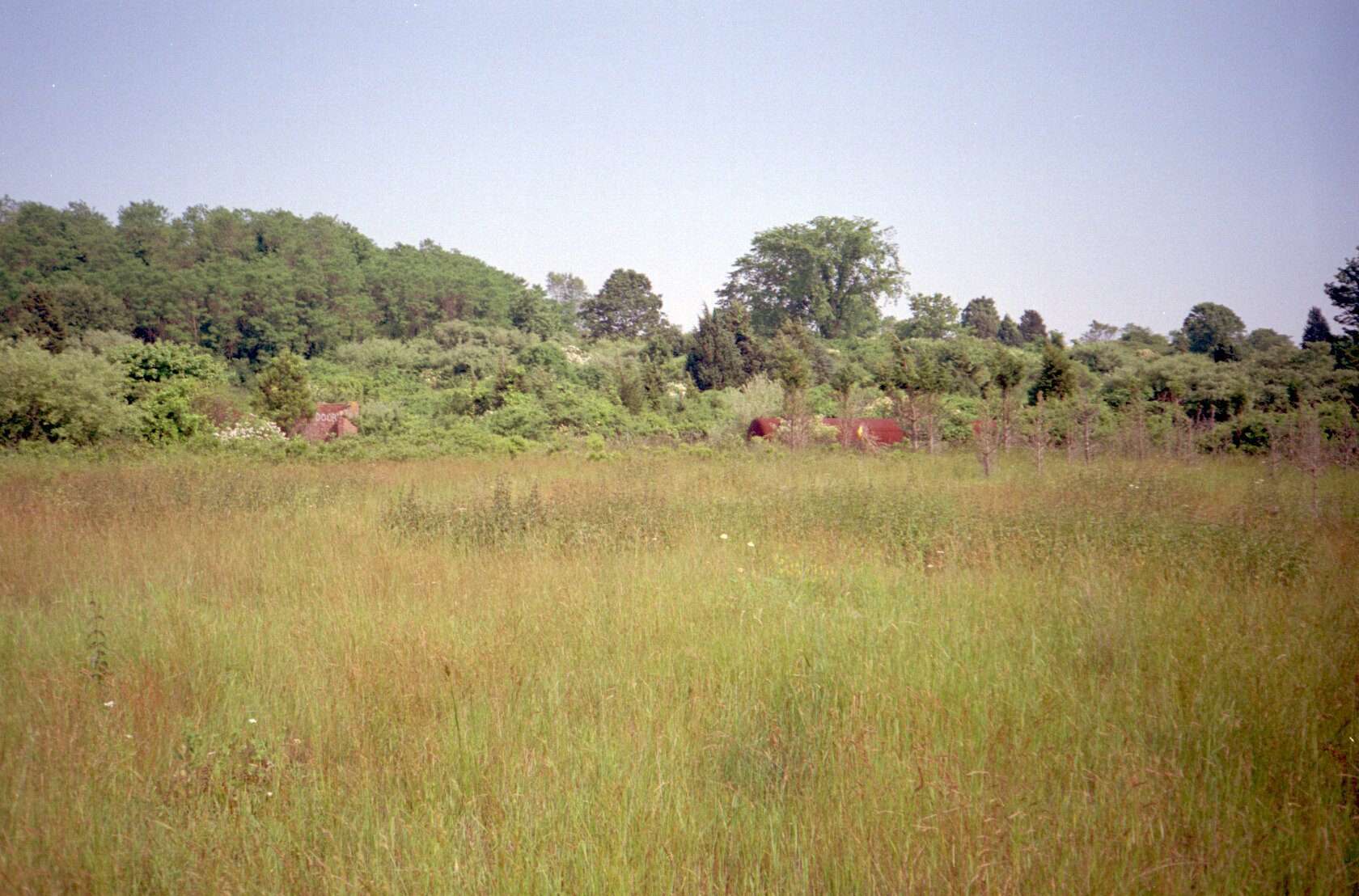 dutch_island_29.jpg