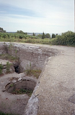 dutch_island_16.jpg