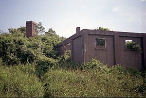 dutch_island_43.jpg