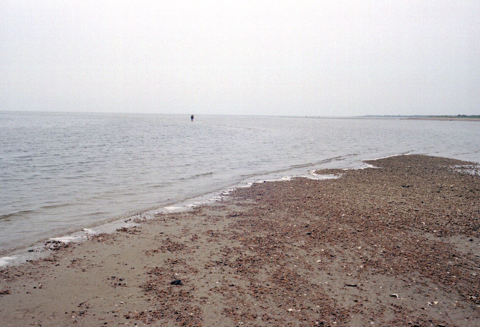 July3005_ricka_09.jpg