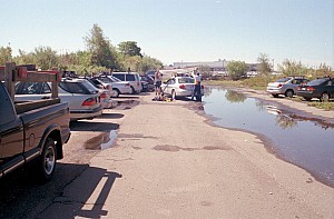 May3005_ricka_01.jpg