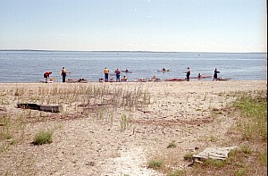 May3005_ricka_03.jpg