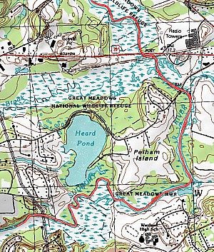 6-bottom_topo.jpg