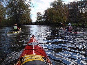 PA060017.JPG