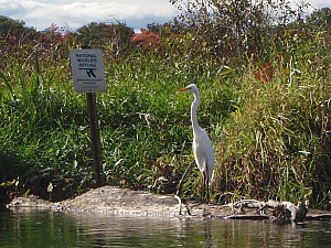 PA060050b.jpg