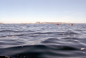 Oct0806_ricka_12.jpg