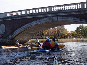 PA260016.JPG