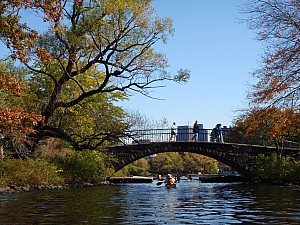 PA260045.JPG