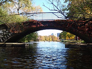 PA260049.JPG
