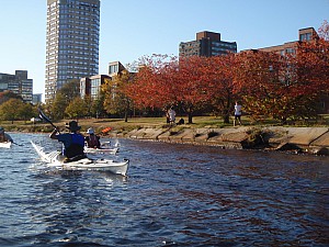 PA260158.JPG