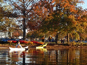 PA260168.JPG