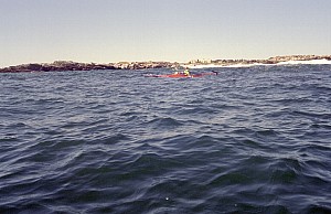 Sept16_Ricka_31.jpg