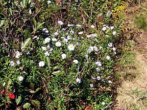 Sept2307_ricka_39.JPG