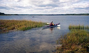 Sept3007_ricka_19.jpg